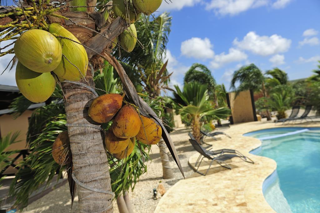 Bridanda Boutique Resort Playa Buitenkant foto